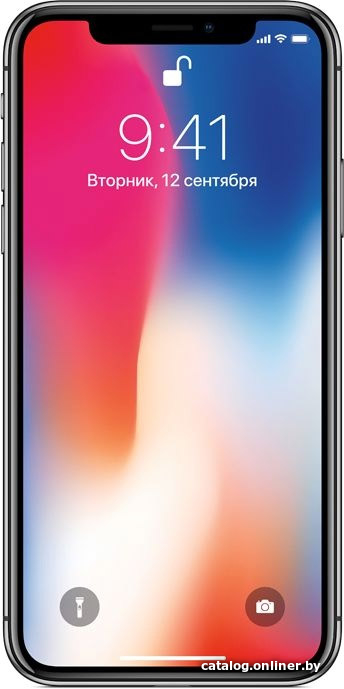 Замена дисплея Apple iPhone X